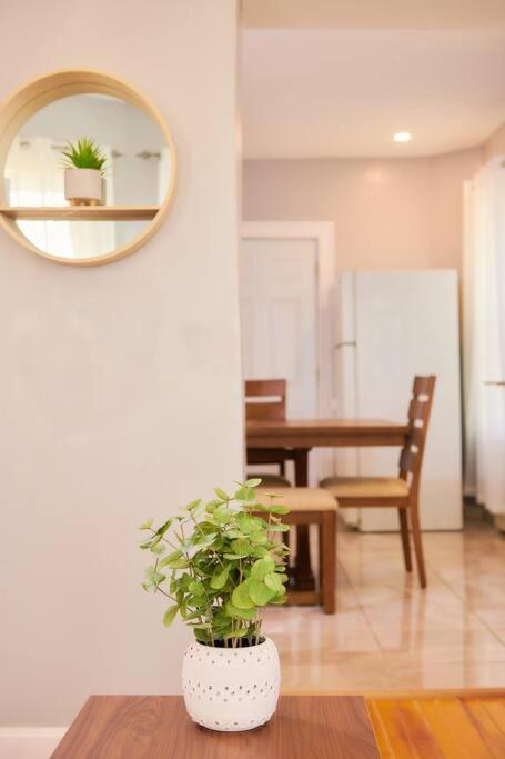 Cozy Apartment 1St 10Min Walk Downtown And City View Providence Eksteriør billede